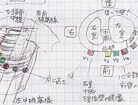 血管機能検査について